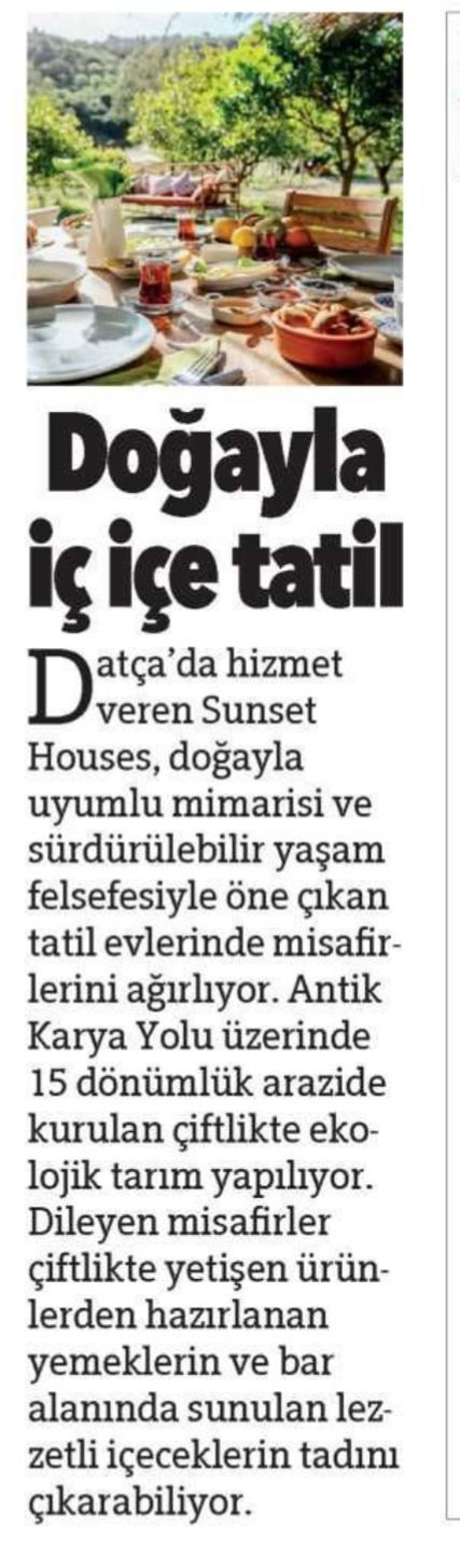 2- hürriyet kelebekk.jpg