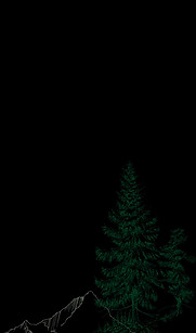 Trees Baackground 1_edited.jpg