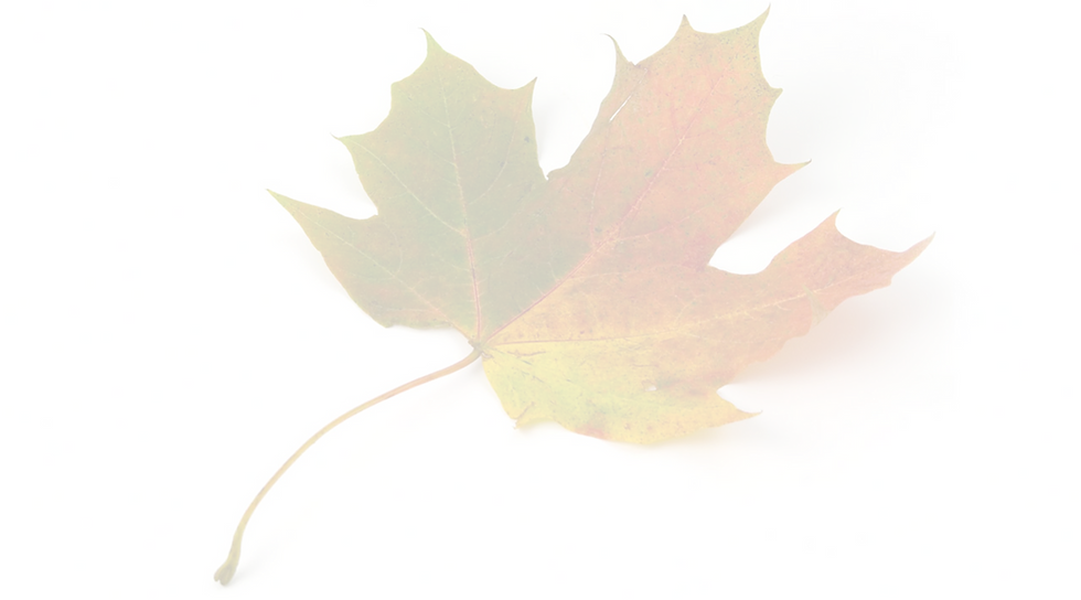 Maple Leaf_edited_edited.png