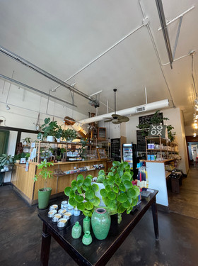 KIVA STORE | Kiva Tea Cafe Spa