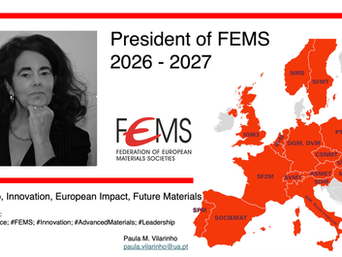 Paula Vilarinho Presidente FEMS