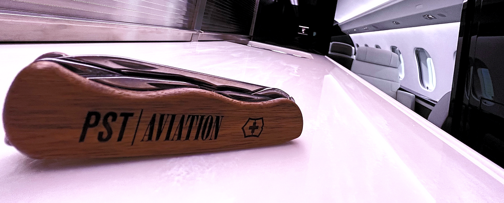 PST Aviation_edited_edited.png
