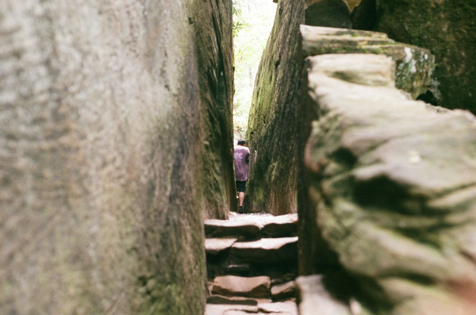 0017_16A000021950017