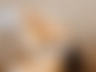 犬の耳掃除のやり方を解説!頻度や注意点、臭い対策