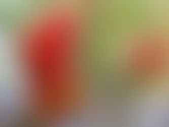 トマトの育て方！ミニトマトをプランターで失敗なく栽培