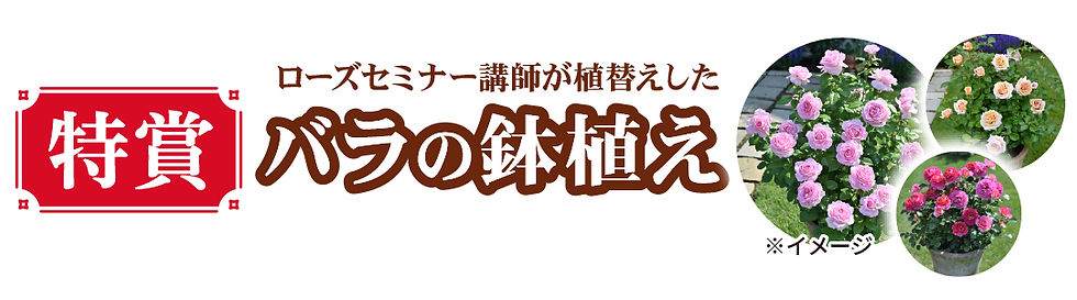 特賞.jpg