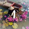 AdobeStock_208479232_edited.jpg