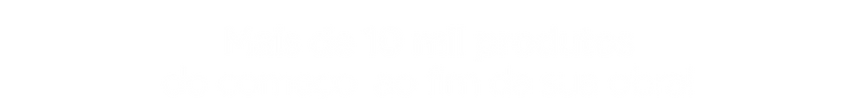 SEÇÃO 3 TEXTO.png
