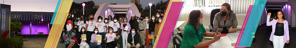Banner Site - sempre vivas_Prancheta 1.png