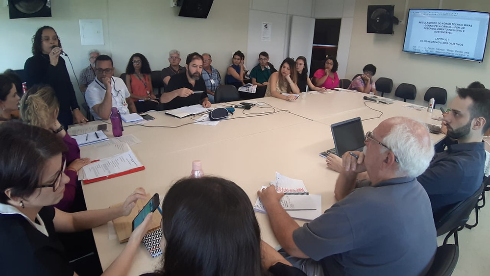 Ana Paula Siqueira em fala na reunião do fórum técnico