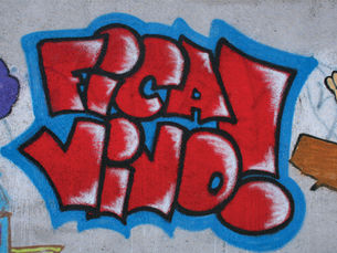 Deputada Ana Paula Siqueira critica corte no Fica Vivo! e atua para manter programa 