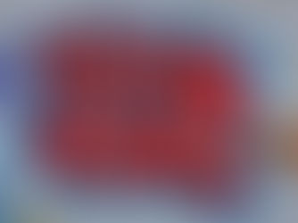 Deputada Ana Paula Siqueira critica corte no Fica Vivo! e atua para manter programa 