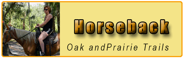 Horseback Riding