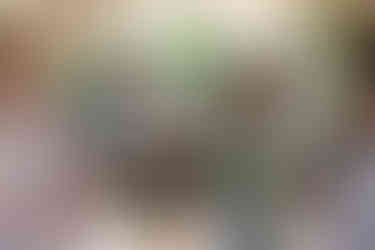 The couples wedding rings on the seashell bouquet