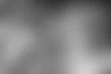 The Bridal Party stands on the dock by the water.