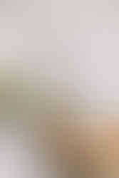 Message in a bottle table settings with a sea-side theme.