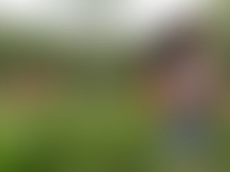A women stands in a field of flowers, sniffing one that your fiance just picked for her.