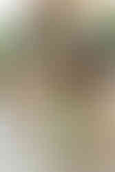 Two flower girls run over to the horse paddock.