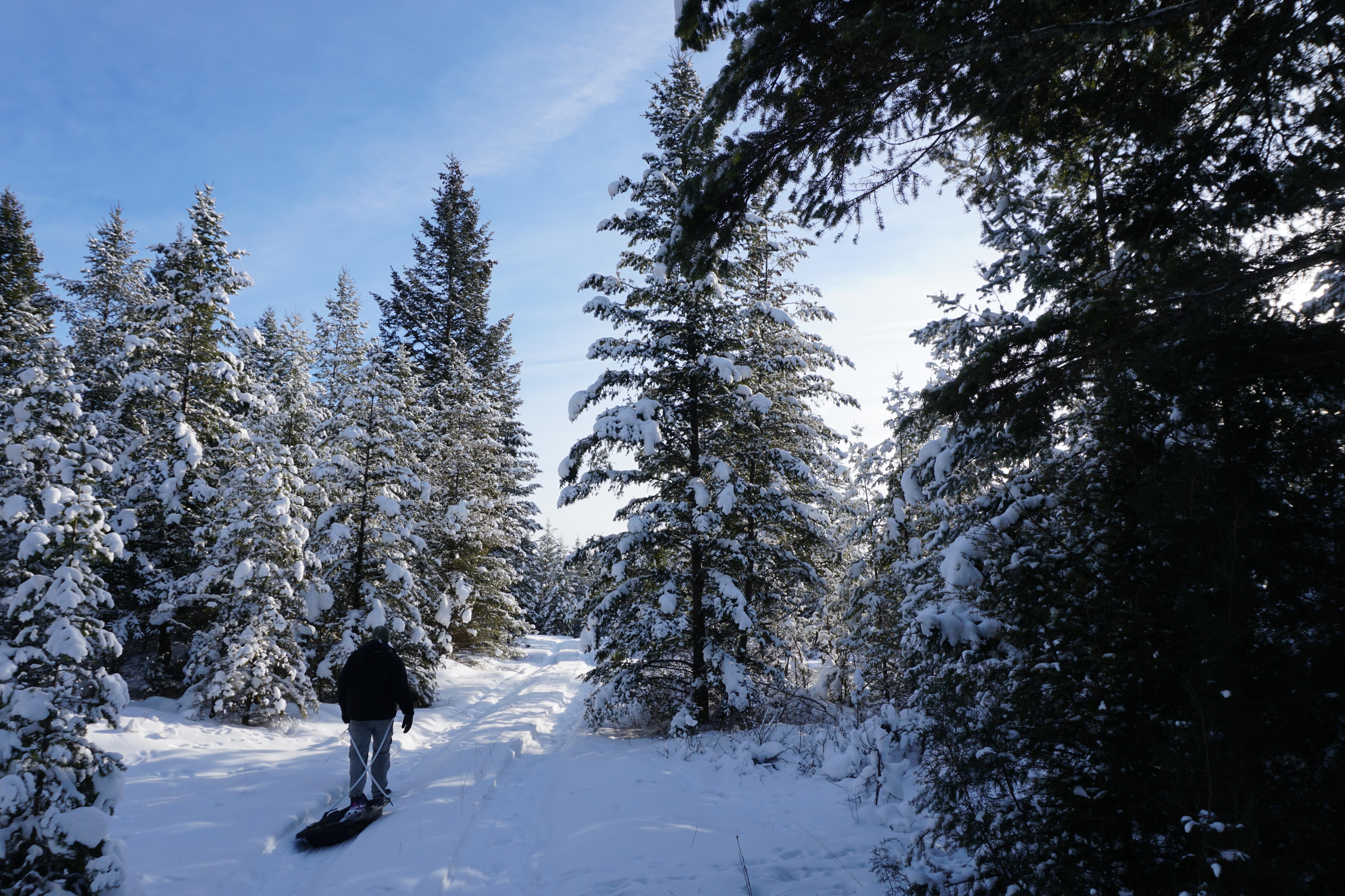 Snowshoeing