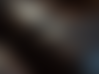 Transform Your VIP Seating with Expert Renovation