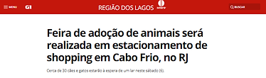 feira adoção.png