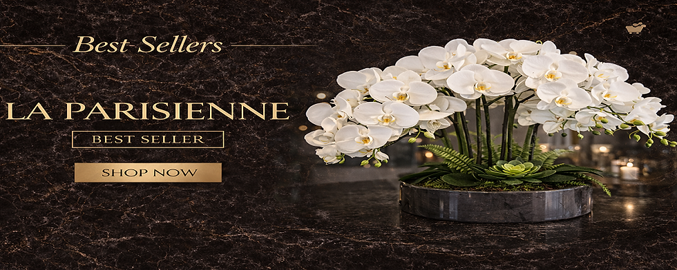 ChatGPT Image Feb 1, 2026, 02_16_36 AM.png