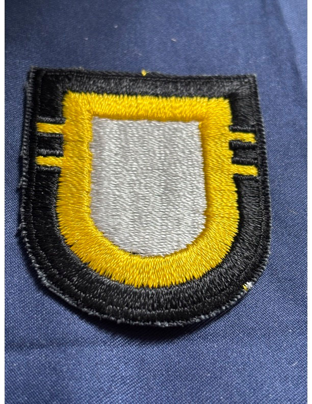 United States Army Vietnam Era Beret Badge 101st Airborne 2nd Brigade (1st Vers