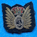RCN Skills badges.jpg