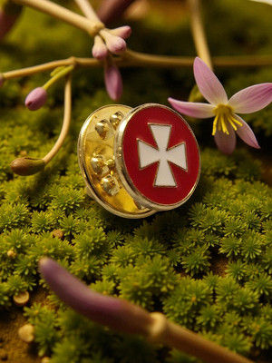 Pins croix templière émaillée blanc sur fond rouge, bouton doré, sur fond vert avec fleurs.