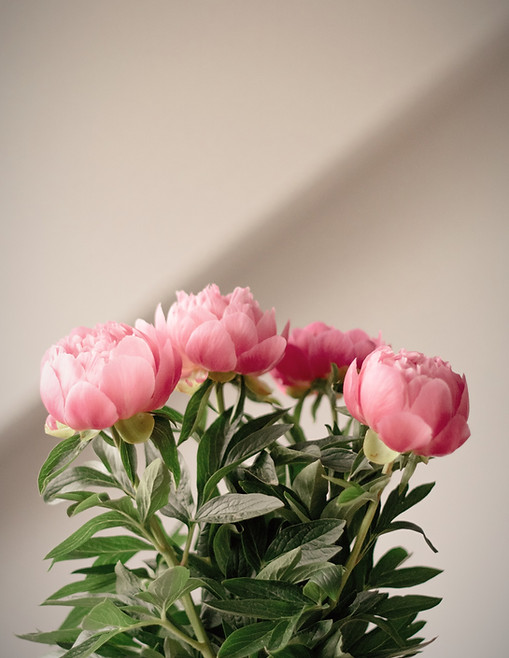 michelle-bYsTQKjMsys-unsplash_edited.jpg