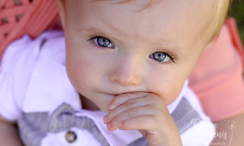 46765710_1006054176248303_21842198647873