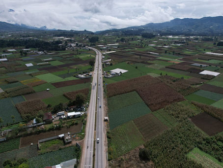 Siete decisiones que marcaron la catástrofe de las carreteras
