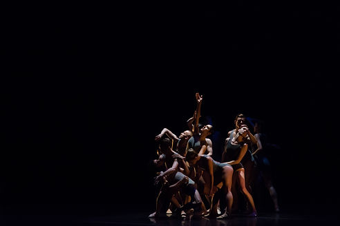 PeridanceContemporaryDance Company2_IgalPerryChoreography.jpg