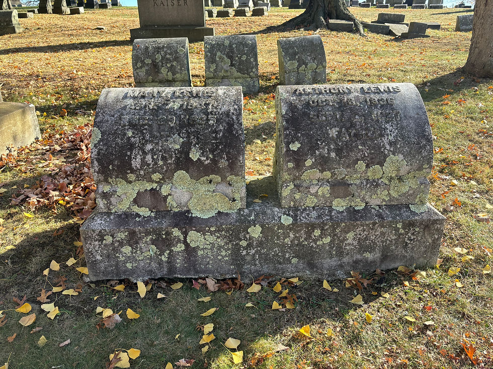 Thank you to All Who Attended GASP Walk & Talk at Homewood Cemetery