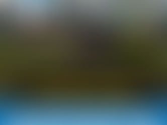 Public Records Request Provides New Details on Air Quality Impact of Clairton Coke Works Breakdown in June