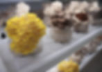Bunch 8590 150.JPG