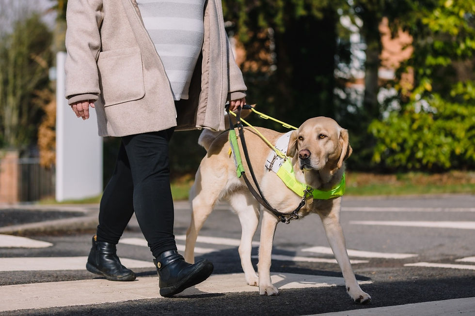 Guide Dogs Built Environment Project at PEARL