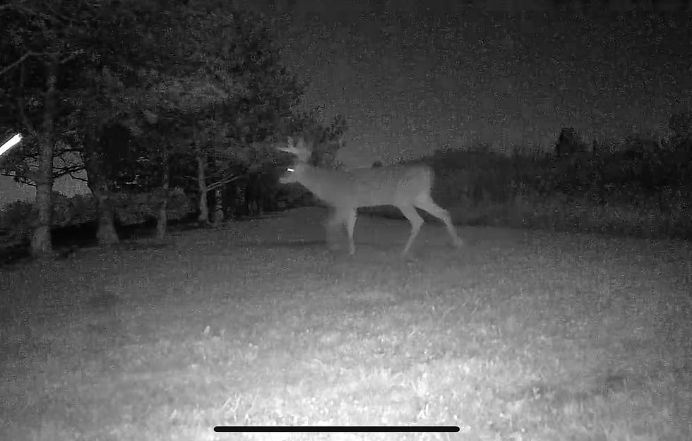 Deer Hunting Season 2026