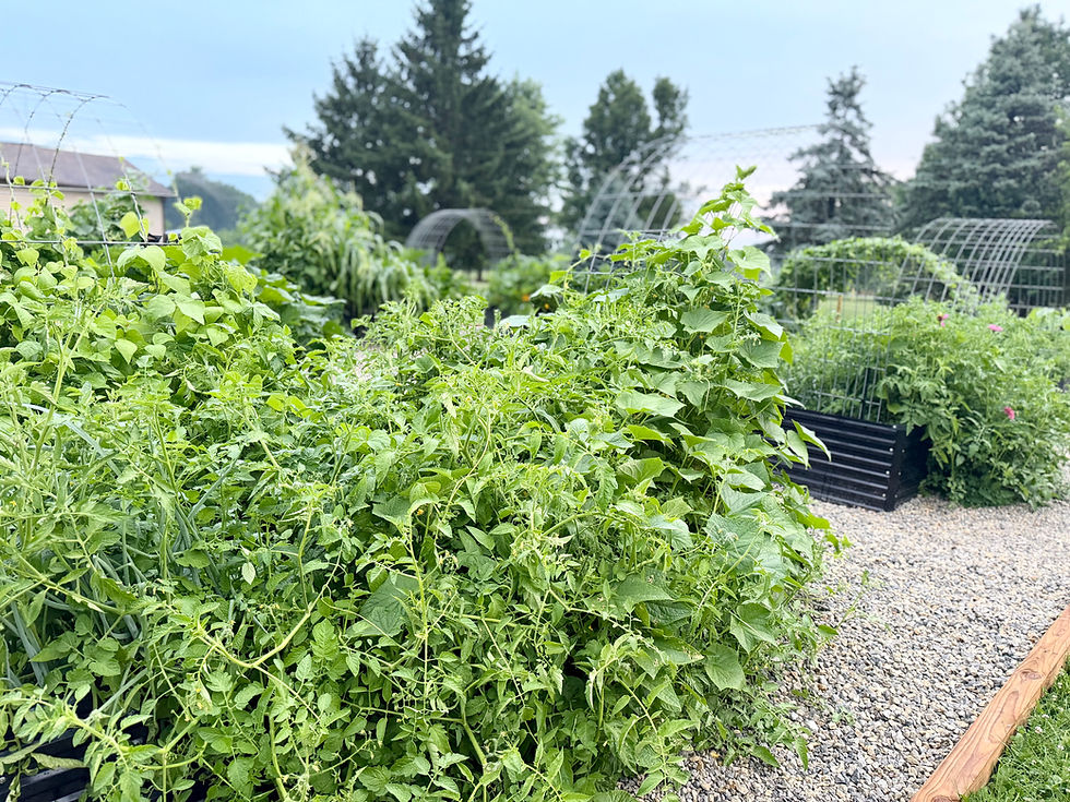 Community Garden