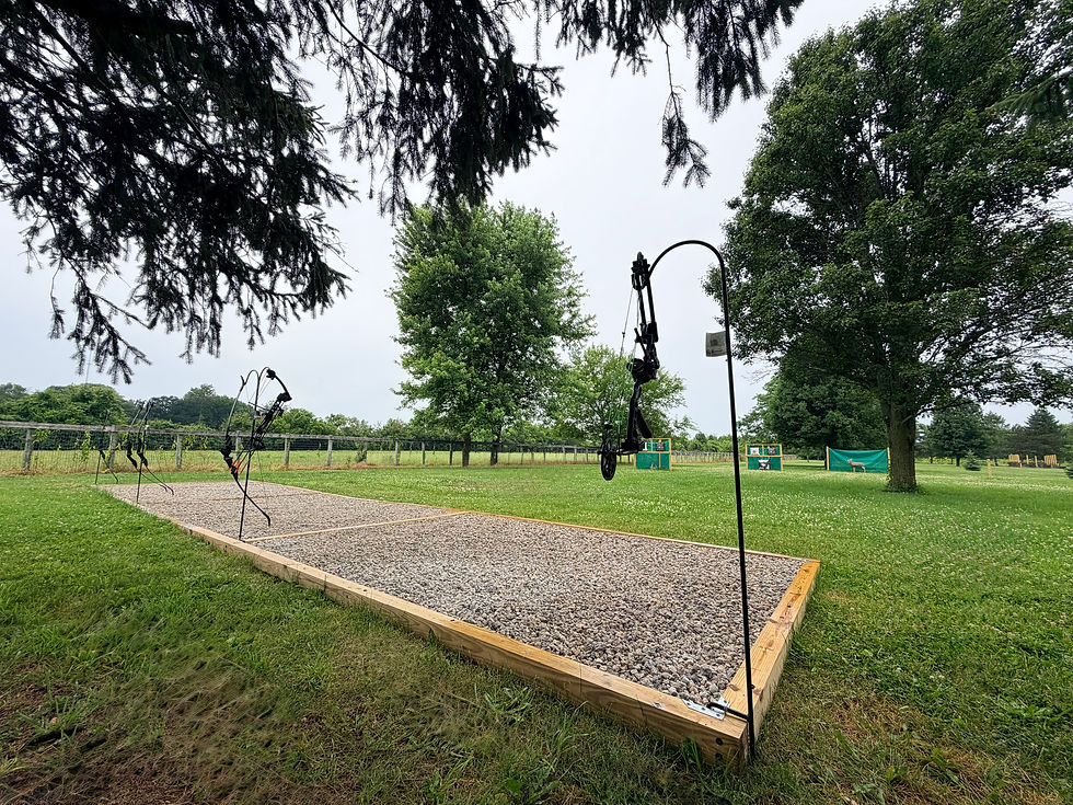 Archery Target Practice