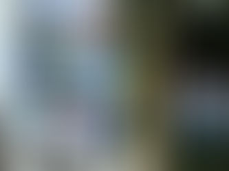 Arts Trail in the Wairarpa