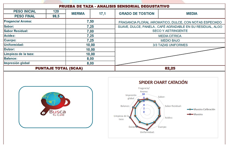 Captura de pantalla 2025-07-17 152540.png