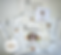 LogoLicious_20260425_191541.png