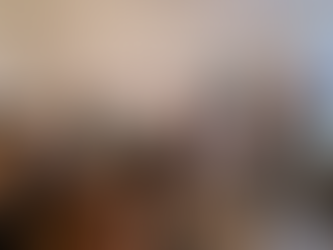 Uniting Museums: Harnessing the Power of Collaboration in Amsterdam Nieuw-West