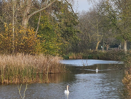 Dichtersbuurt: Zachte Krachten, Warme Winter