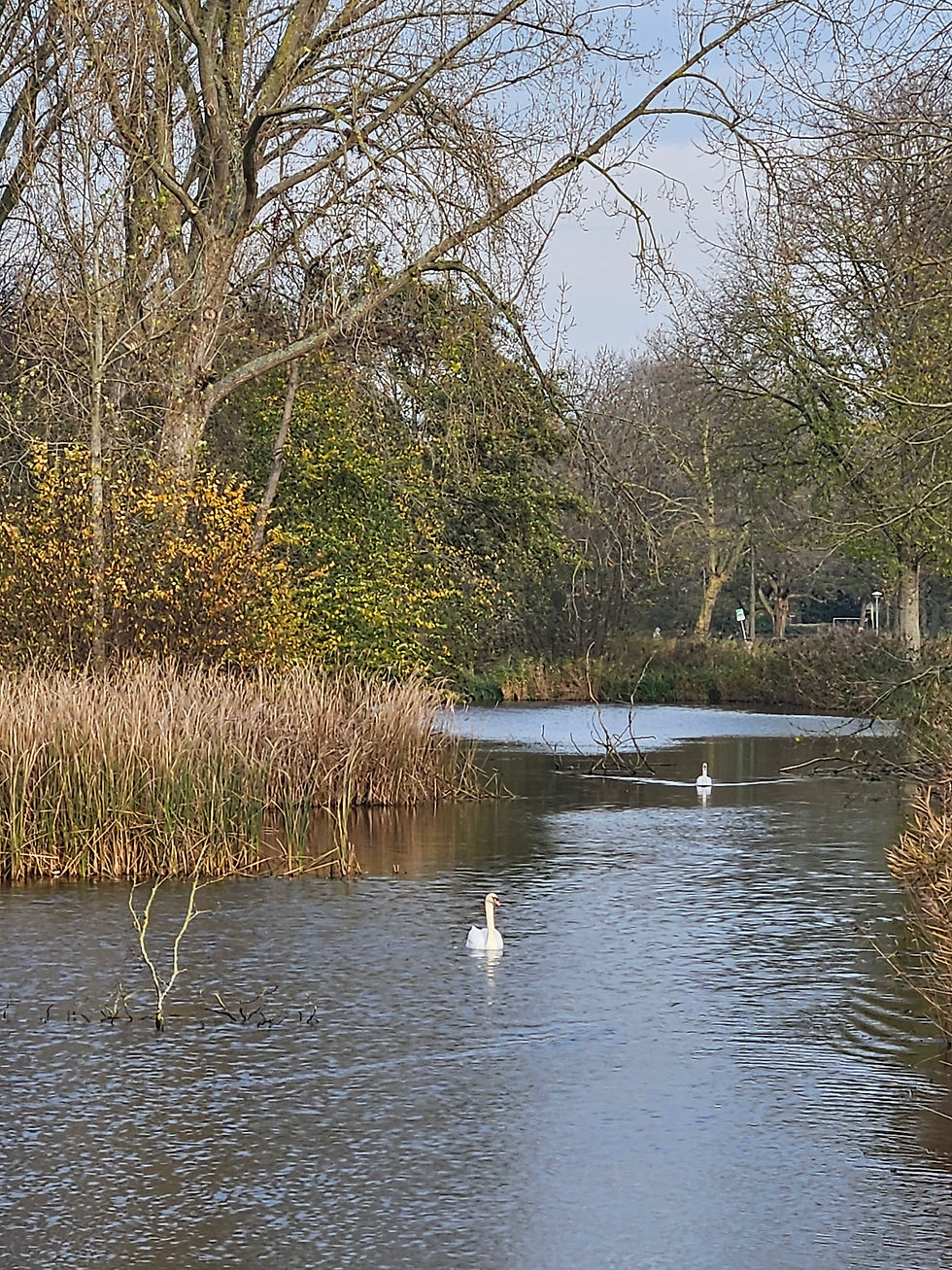 Dichtersbuurt: Zachte Krachten, Warme Winter