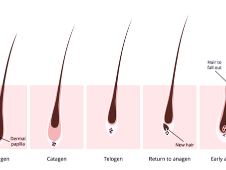 lash fills...mannn why oh why?