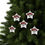 Thumbnail: eco-friendly ceramic hanging ornaments with a pohutukawa tree kiwi summer graphic by Nat-Ts