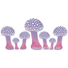 Nat-Ts' original Toadstool design, coloured by an unfiltered photo nature