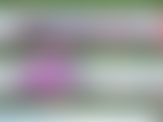 ”譲渡会でのドッグマッサージについて”